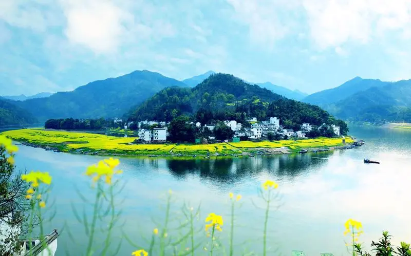 创意稳定性